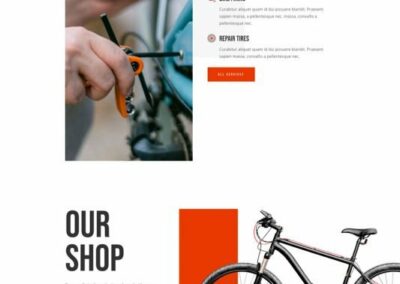 Bike Repair